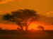Sunrise_Matobo_Zimbabwe.jpg